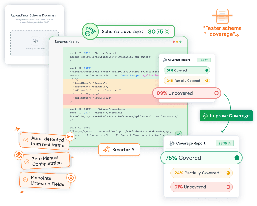 Schema Coverage