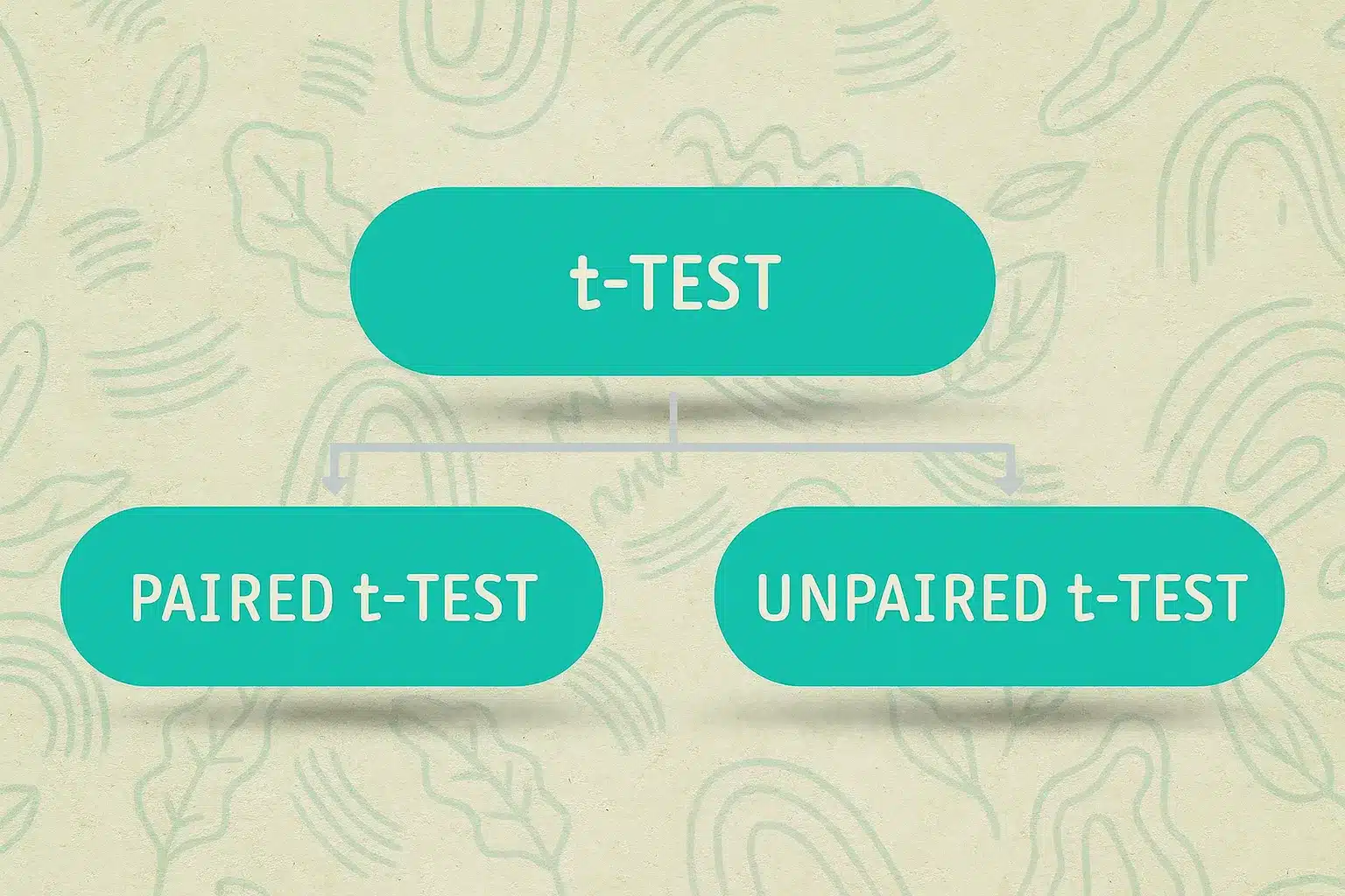 Cover Image for Paired vs Unpaired Test: Definition, Formula, Examples, and Key Differences