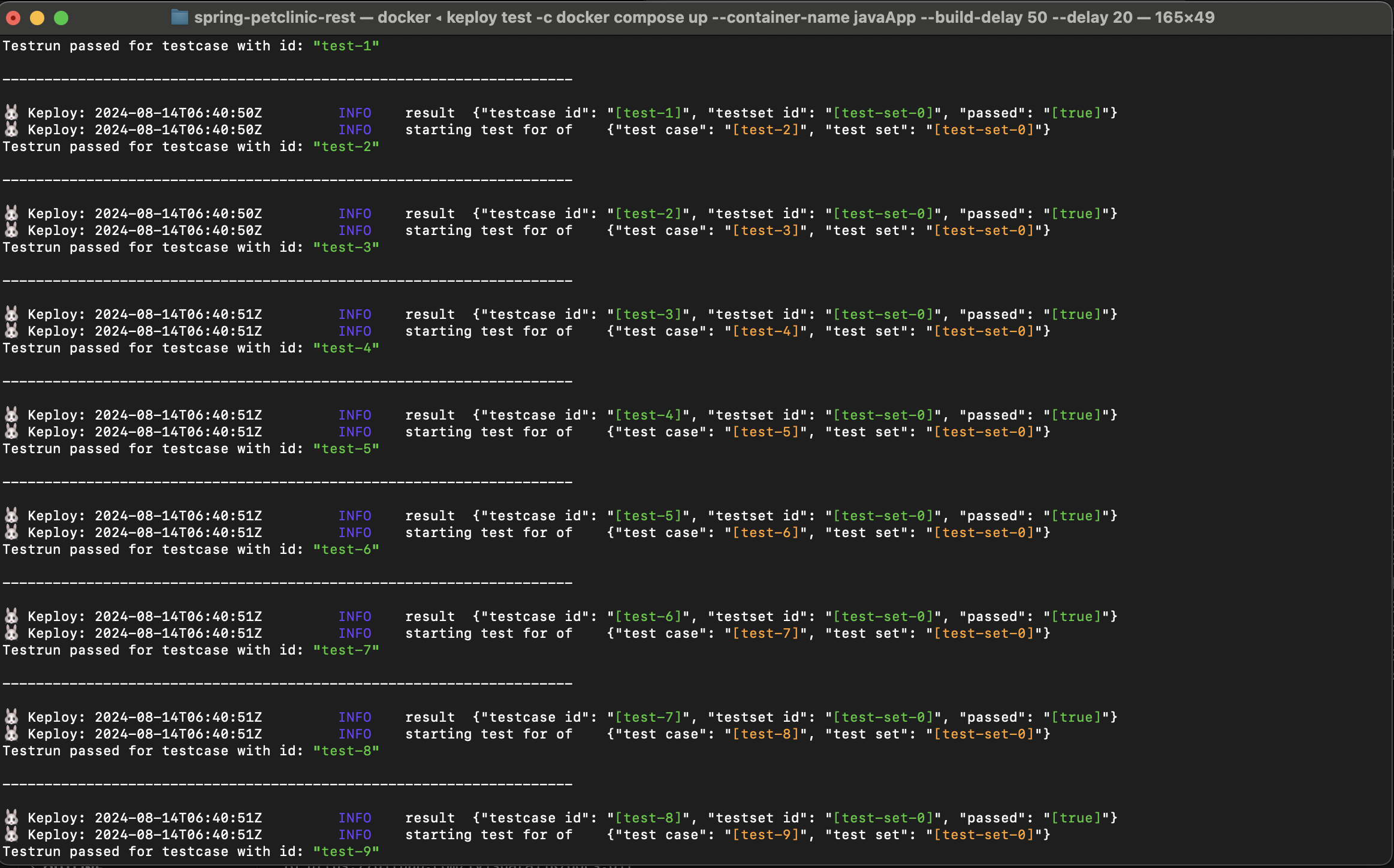 Sample Keploy Test Summary Java