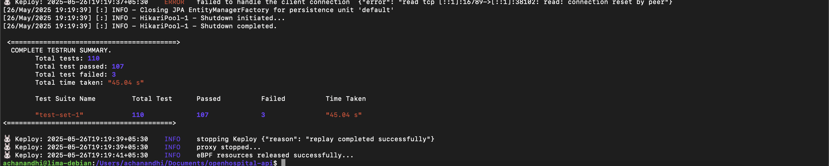 Sample Keploy Test Summary Java